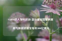 COP29进入加时阶段 部分富裕国家同意将气候融资提至每年3000亿美元