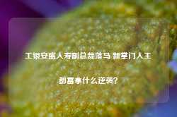 工银安盛人寿副总裁落马 新掌门人王都富拿什么逆袭？