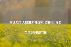 阿达尼个人财富大幅缩水 波音CEO称公司内部问题严重