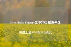 Sotera Health Company盘中异动 临近午盘快速上涨5.15%报13.48美元