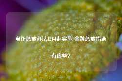 电诈惩戒办法12月起实施 金融惩戒措施有哪些？