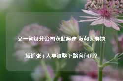 又一省级分公司获批筹建 友邦人寿地域扩张+人事调整下路向何方？