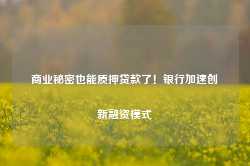 商业秘密也能质押贷款了！银行加速创新融资模式