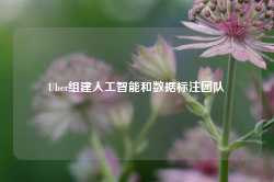 Uber组建人工智能和数据标注团队