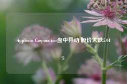 Applovin Corporation盘中异动 股价大跌5.04%