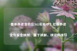 基本养老金将在2035年耗尽？社保养老金专家金维刚：属于误解、误读和误导