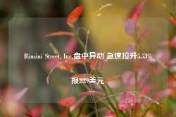 Rimini Street, Inc.盘中异动 急速拉升5.53%报2.29美元