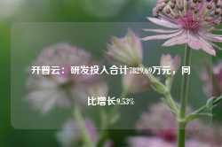 开普云：研发投入合计7829.69万元，同比增长9.53%